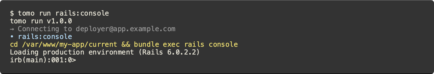 $ tomo run rails:console